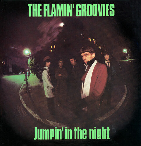 Flamin Groovies - Jumpin In The Night