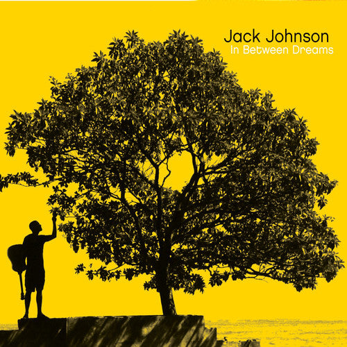 Johnson, Jack - In Between Dreams