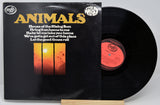 Animals - The Most Of