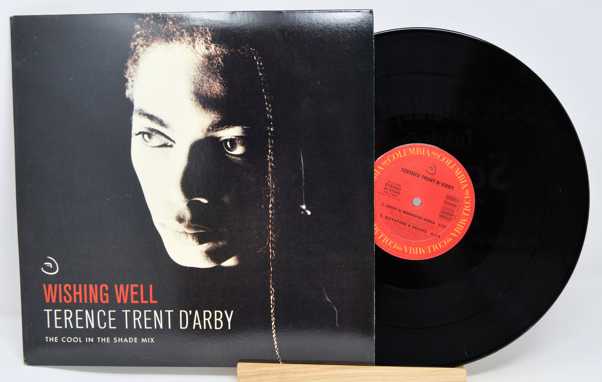 D'Arby, Terence Trent - Wishing Well