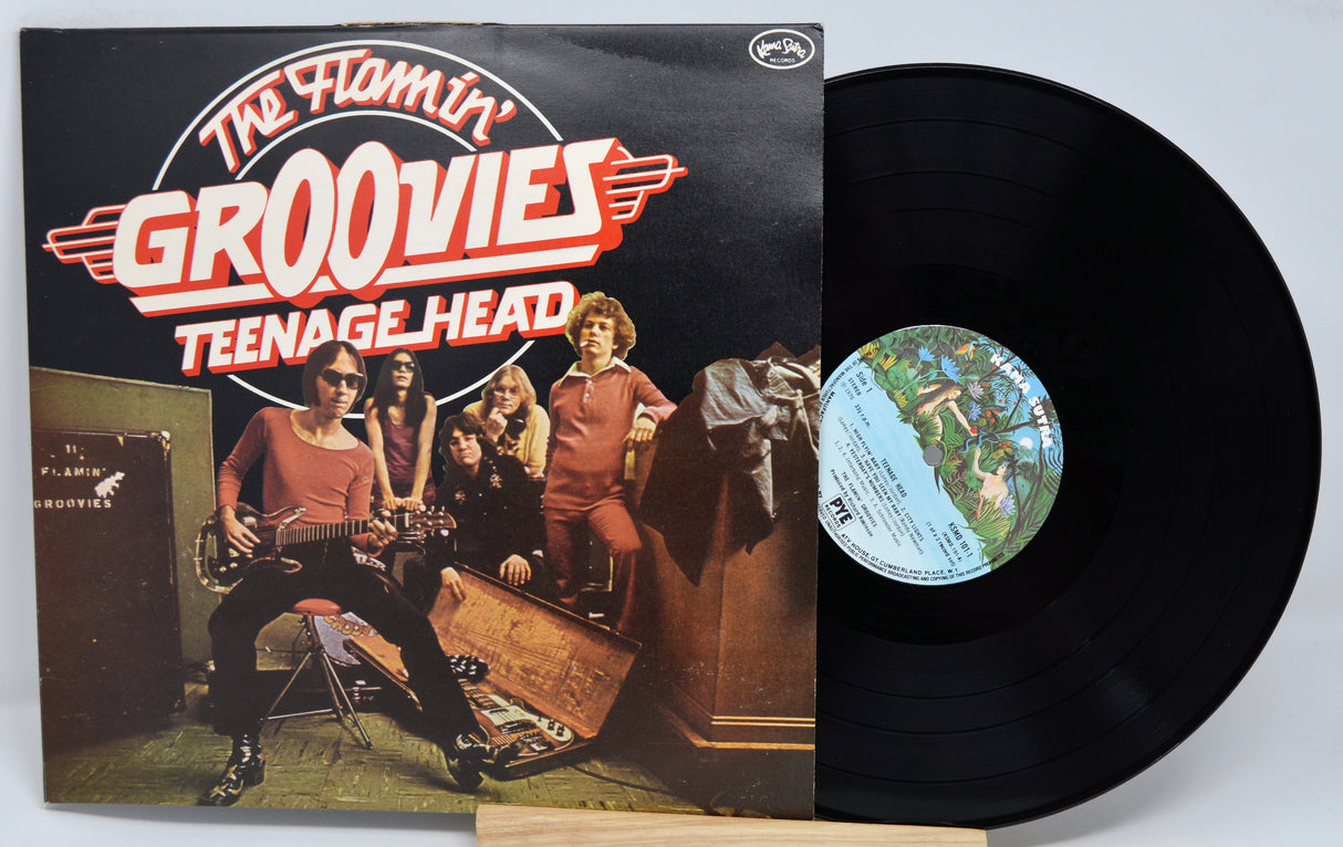 Flamin Groovies - Teenage Head