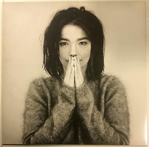 Bjork - Debut