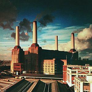 Pink Floyd - Animals