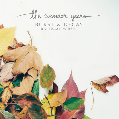 Wonder Years, The - Burst & Decay