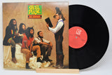 Steel Pulse - True Democracy