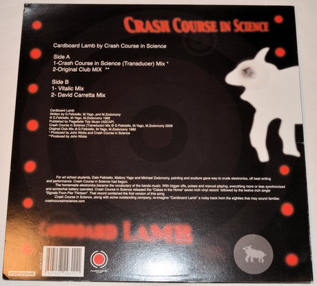 Crash Course In Science - Cardboard Lamb