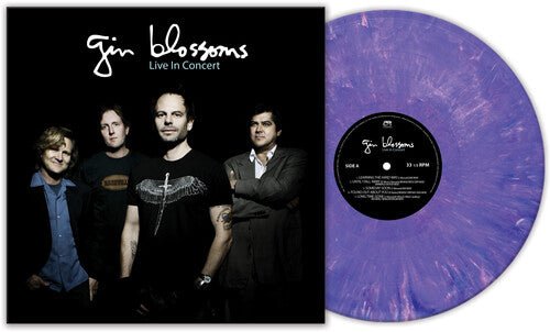 Gin Blossoms - Live In Concert