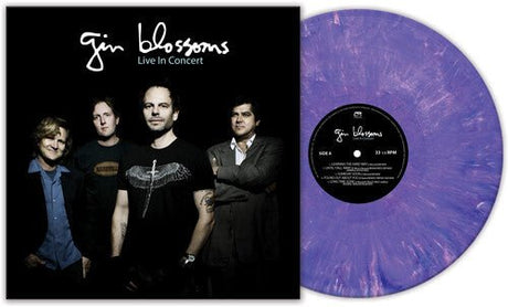 Gin Blossoms - Live In Concert