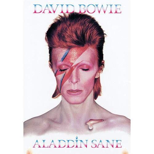 Bowie, David - Aladdin Tin Sign